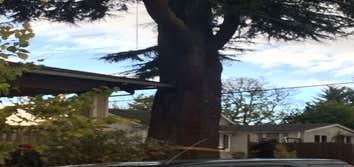 Photos from Johnny on the Spot Tree Service and Woodlot LLC