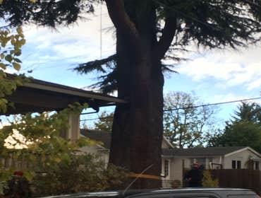 Photos from Johnny on the Spot Tree Service and Woodlot LLC