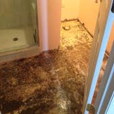 Mold remediation in bathroom
