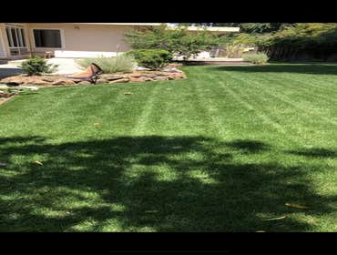Landscaping Projects