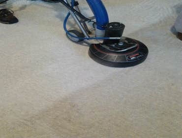 point carpet cleaners