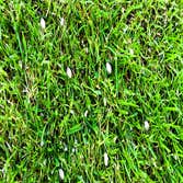 Turf Tech Fertilization