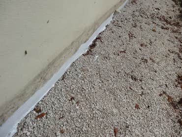 Photos by Aqua Dry Restoration #1
