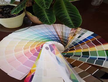 Photos by Dan Madrids Custom Coatings #5