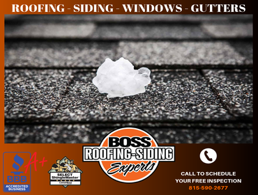 Photos by Boss Roofing - Siding Experts #3