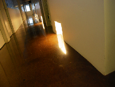 Projects by Premier Carpet Inc Dba Green Polishing Solutions