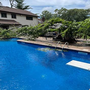 Tree removal over pool