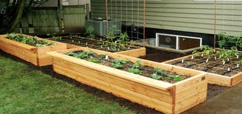 20 raised beds in a rural area A production raised bed garden. This garden has sixteen 4x10' beds and four 4x4' In the 2010 season about 1500 lbs of ve