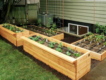 20 raised beds in a rural area A production raised bed garden. This garden has sixteen 4x10' beds and four 4x4' In the 2010 season about 1500 lbs of ve