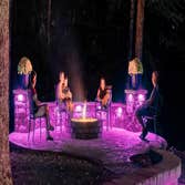 Photos by Blingle Premier Lighting #1