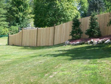 Cedar