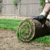 Sod Installation Sarasota Florida