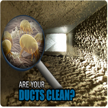 CoolQuest Duct Cleaning It is recommended by the EPA that the ducts in a home be cleaned when they start to show mold, or are infested with vermin. Duc