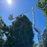 Photos by Cambria Pines Tree Service Inc #5