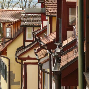 Roof Maintenance