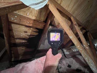 Attic inspection