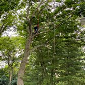 J Tree Service LLC