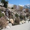 Bytendorp Enterprises Landscaping LLC logo