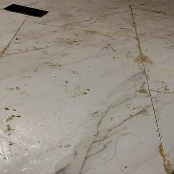Photos by Elegant Care Cleaning LLC #2