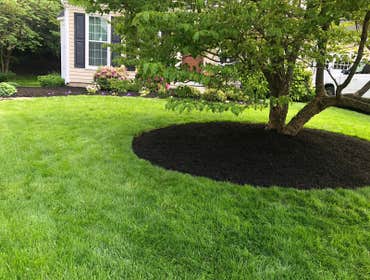 Photos by Solis Landscaping Services #1