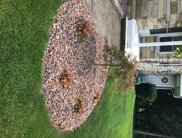 Photos by M. Jayson Lawn Care, LLC #1