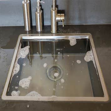 Elephant plumbing