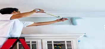 Apex Painting Group