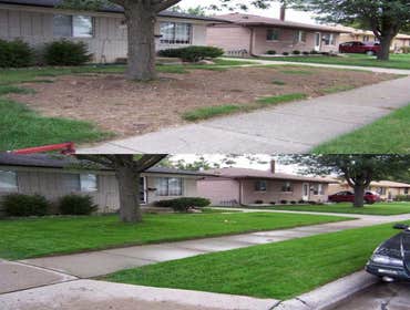 sample projects here are some jobs i have completed. things from simple clean up to landscape design to sod resoring