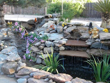 Water Features, Ponds