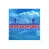 Springborn Heating & Air Conditioning logo