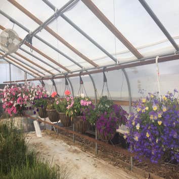 Photo(s) from Patriot Gardens Inc