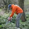Flawk Tree Service logo