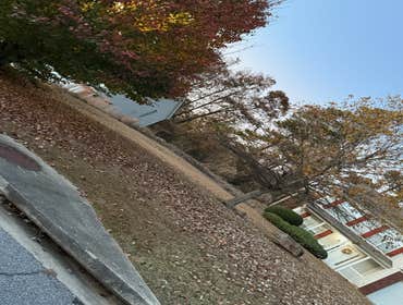 Photos by Garcia's Lawncare & Landscaping #1