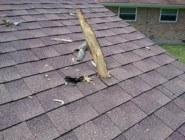 Storm damage to shingle roof