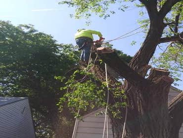 Photos by K&r Tree Service LLC #1
