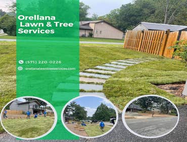 Photos by Orellana Lawn & Tree Services #6