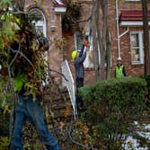 Nyc Tree Trimming & Removal Corp