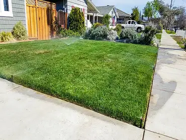 Landscaping