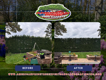 Photos by American Pride Tree Experts & Landscaping Inc #67