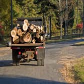 Greenwood Tree Service