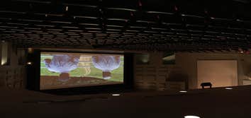 Projection Screen Project
