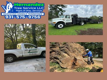 Photos by Hernandez Tree Service LLC #1