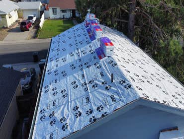 Photos by Camcorp Construction #1
