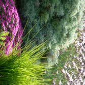 Photos from Waterwise Landscapes Incorporated Here are a few examples of our work in the Albuquerque area. Our landscapes are low water but colorful an