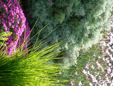 Photos from Waterwise Landscapes Incorporated Here are a few examples of our work in the Albuquerque area. Our landscapes are low water but colorful an
