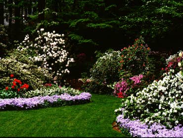 Giacone Landscapes