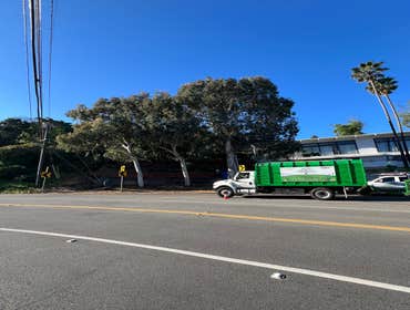 Photos by California Green Tree Care #1