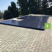 Treeium Energy Inc