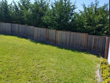 Wood