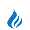 Apex Fire Control Services Inc logo